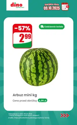Dino - gazetka promocyjna Specjalna oferta na 09.10.2025 - promocje spoza gazetki od czwartku 09.10 do czwartku 09.10 - strona 3