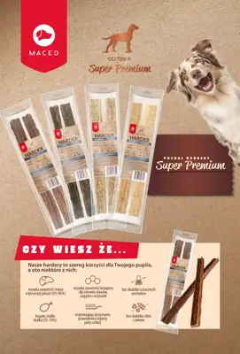 Aquael zoo - gazetka promocyjna Gazetka od czwartku 09.10 do piątku 31.10 - strona 11 Aquael zoo - gazetka promocyjna Gazetka od czwartku 09.10 do piątku 31.10 - strona 11