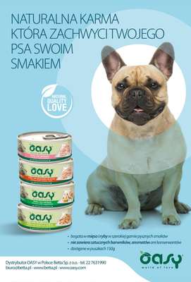 Aquael zoo - gazetka promocyjna Gazetka od czwartku 09.10 do piątku 31.10 - strona 14