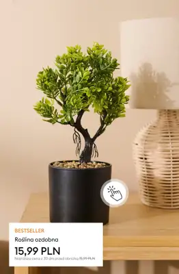 Sinsay - gazetka promocyjna Bestsellery do domu - temu się nie oprzesz! od piątku 10.10 do czwartku 16.10 - strona 16 Sinsay - gazetka promocyjna Bestsellery do domu - temu się nie oprzesz! od piątku 10.10 do czwartku 16.10 - strona 16