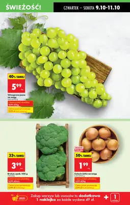 Biedronka - gazetka promocyjna Od czwartku od czwartku 09.10 do środy 15.10 - strona 25