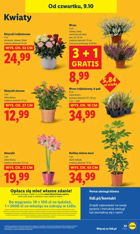 Lidl - gazetka promocyjna Oferta od czwartku od czwartku 09.10 do soboty 11.10 - strona 61