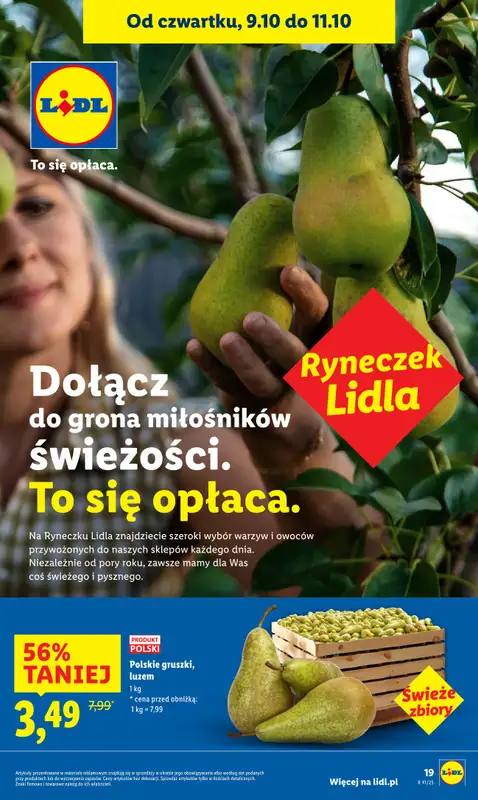 Lidl - gazetka promocyjna Oferta od czwartku od czwartku 09.10 do soboty 11.10 - strona 23