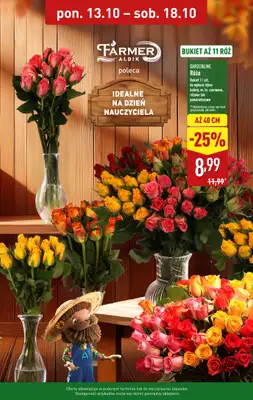 Aldi - gazetka promocyjna Kwiaty na wyjątkowe okazje w super cenach! od czwartku 16.10 do soboty 18.10 - strona 2