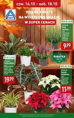 Aldi - gazetka promocyjna Kwiaty na wyjątkowe okazje w super cenach! od czwartku 16.10 do soboty 18.10