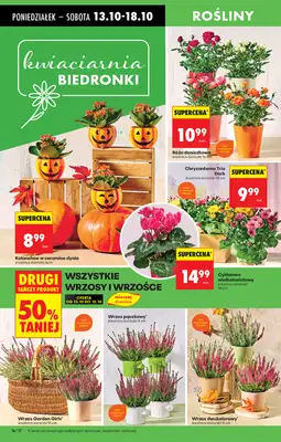 Biedronka - gazetka promocyjna Od poniedziałku, Z ladą tradycyjną od poniedziałku 13.10 do niedzieli 19.10 - strona 18
