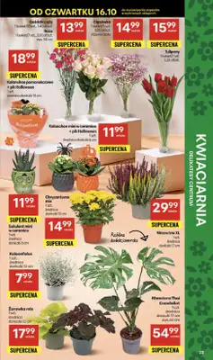 Delikatesy Centrum - gazetka promocyjna Gazetka  do środy 22.10 - strona 22