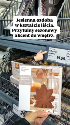 Lidl - gazetka promocyjna Zakupowe inspiracje w Lidlu od poniedziałku 13.10  - strona 9