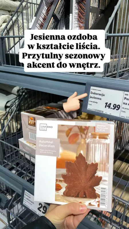 Lidl - gazetka promocyjna Zakupowe inspiracje w Lidlu od poniedziałku 13.10  - strona 9