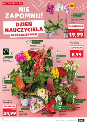 Kaufland - gazetka promocyjna Oferta Kaufland od czwartku 09.10 do środy 15.10 - strona 20