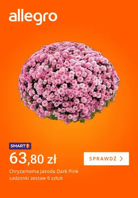 Allegro - gazetka promocyjna Jesienne porządki w ogrodzie od wtorku 14.10 do poniedziałku 20.10 - strona 4