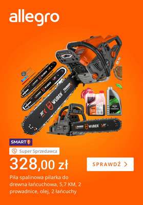 Allegro - gazetka promocyjna Jesienne porządki w ogrodzie od wtorku 14.10 do poniedziałku 20.10