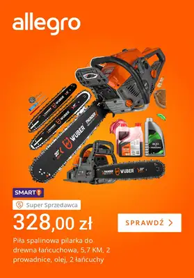 Allegro - gazetka promocyjna Jesienne porządki w ogrodzie od wtorku 14.10 do poniedziałku 20.10