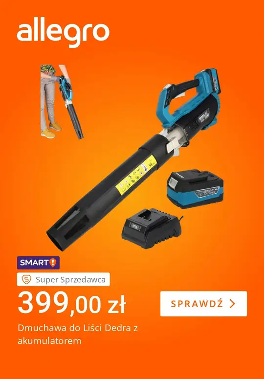 Allegro - gazetka promocyjna Jesienne porządki w ogrodzie   - strona 3