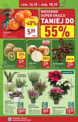 Aldi - gazetka promocyjna Farmer Aldik poleca! od poniedziałku 13.10 do soboty 18.10 - strona 6