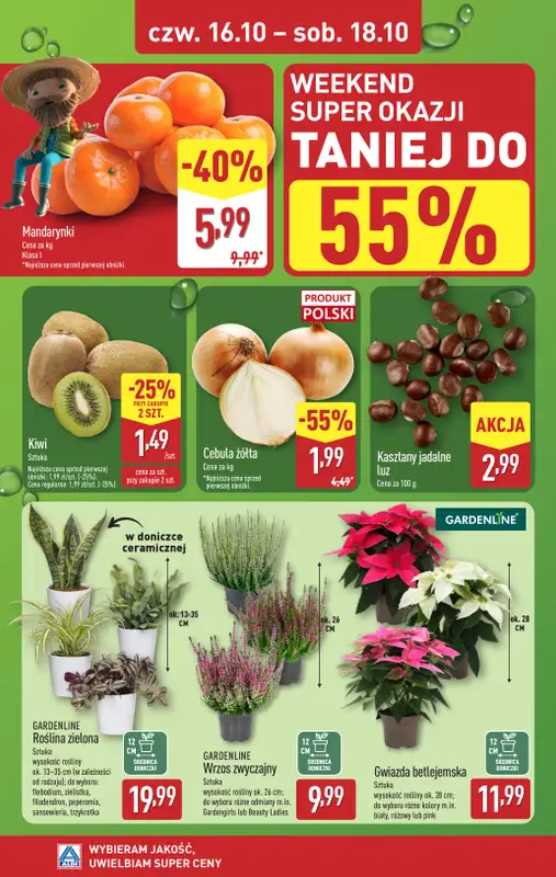 Aldi - gazetka promocyjna Farmer Aldik poleca! od poniedziałku 13.10 do soboty 18.10 - strona 6
