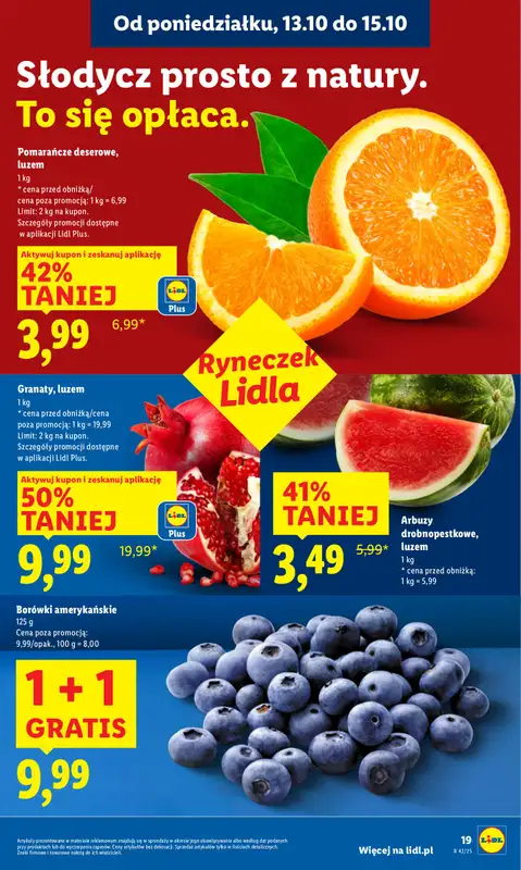 Lidl - gazetka promocyjna Oferta od poniedziałku od poniedziałku 13.10 do środy 15.10 - strona 19