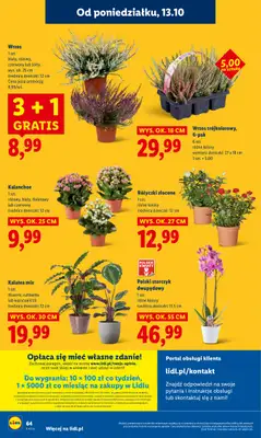 Lidl - gazetka promocyjna Oferta od poniedziałku od poniedziałku 13.10 do środy 15.10 - strona 64
