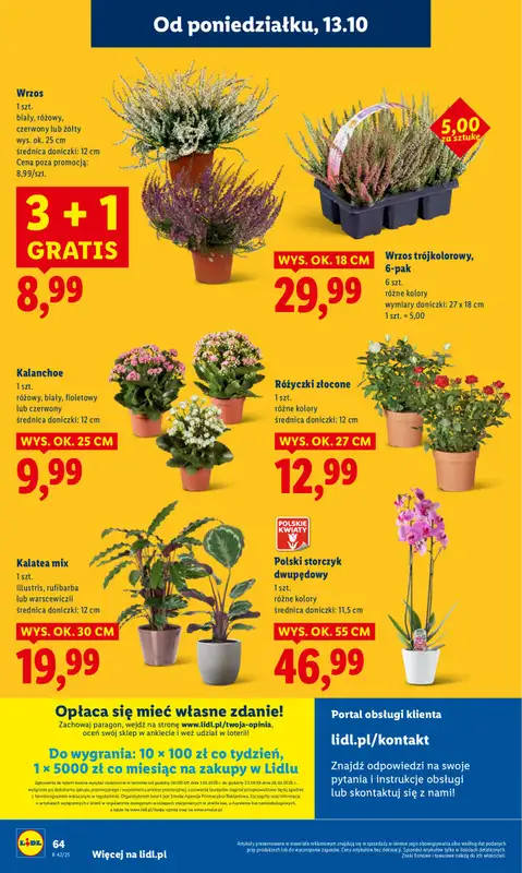 Lidl - gazetka promocyjna Oferta od poniedziałku od poniedziałku 13.10 do środy 15.10 - strona 64