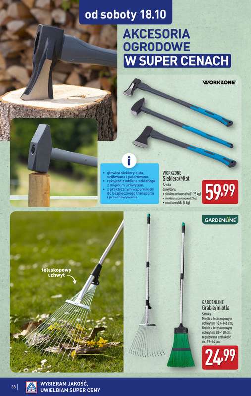 Aldi - gazetka promocyjna Pełny katalog! od poniedziałku 13.10 do soboty 18.10 - strona 38