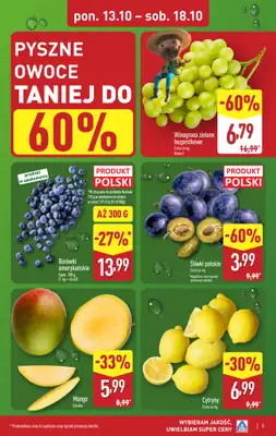 Aldi - gazetka promocyjna Pełny katalog! od poniedziałku 13.10 do soboty 18.10 - strona 3