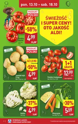 Aldi - gazetka promocyjna Pełny katalog! od poniedziałku 13.10 do soboty 18.10 - strona 2