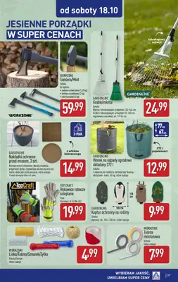Aldi - gazetka promocyjna Pełny katalog! od poniedziałku 13.10 do soboty 18.10 - strona 37