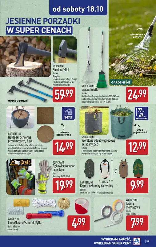 Aldi - gazetka promocyjna Pełny katalog! od poniedziałku 13.10 do soboty 18.10 - strona 37