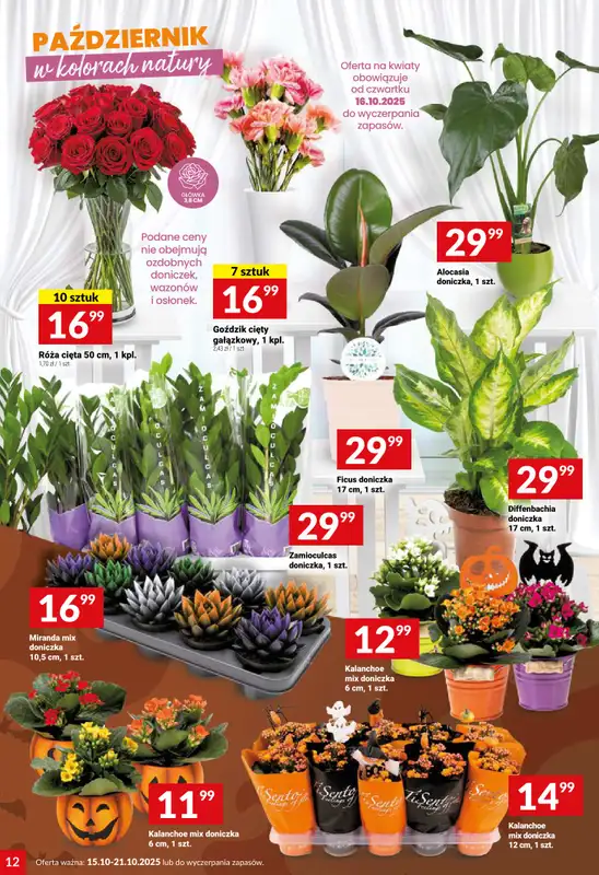 Twój Market - gazetka promocyjna Gazetka od środy 15.10 do wtorku 21.10 - strona 12