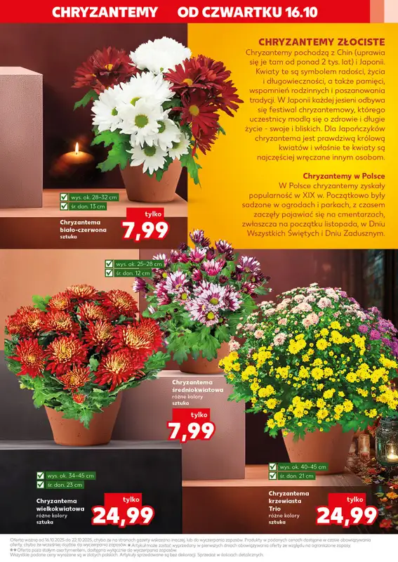 Kaufland - gazetka promocyjna Oferta Kaufland - Znicze   - strona 3