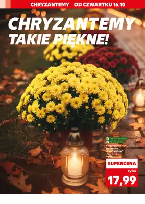 Kaufland - gazetka promocyjna Oferta Kaufland - Znicze od czwartku 16.10 do środy 22.10 - strona 2
