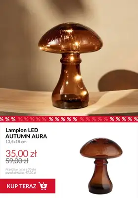 Homla - gazetka promocyjna Do -50% na jesienne dekoracje do salonu od wtorku 14.10  - strona 2