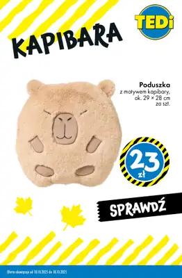 Tedi - gazetka promocyjna KAPIBARA - od teraz w Tedi od wtorku 14.10 do soboty 18.10 - strona 3