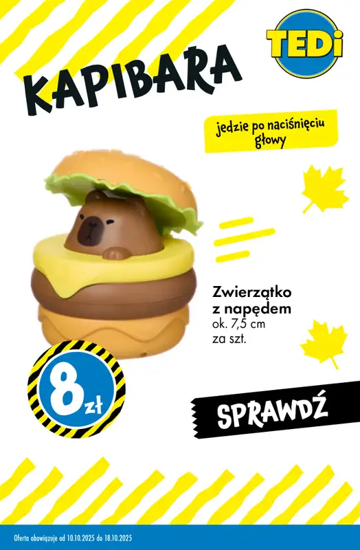 Tedi - gazetka promocyjna KAPIBARA - od teraz w Tedi od wtorku 14.10 do soboty 18.10 - strona 10
