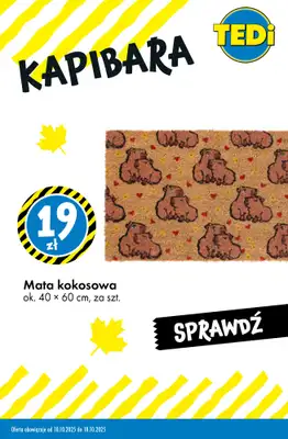 Tedi - gazetka promocyjna KAPIBARA - od teraz w Tedi od wtorku 14.10 do soboty 18.10 - strona 6