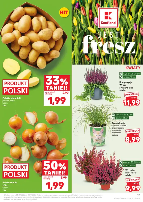 Kaufland - gazetka promocyjna Oferta Kaufland od czwartku 16.10 do środy 22.10 - strona 23