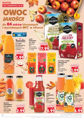 Kaufland - gazetka promocyjna Oferta Kaufland od czwartku 16.10 do środy 22.10 - strona 46