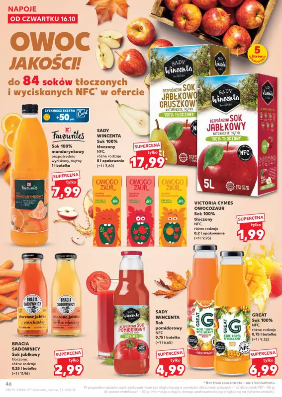Kaufland - gazetka promocyjna Oferta Kaufland od czwartku 16.10 do środy 22.10 - strona 46