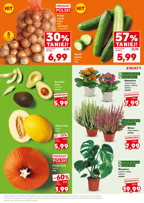 Kaufland - gazetka promocyjna Mocny Start od poniedziałku 13.10 do środy 15.10 - strona 17