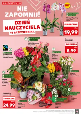 Kaufland - gazetka promocyjna Mocny Start od poniedziałku 13.10 do środy 15.10 - strona 14