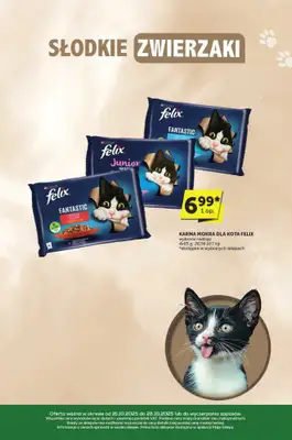 Euro Sklep - gazetka promocyjna Katalog od czwartku 16.10 do wtorku 28.10 - strona 31