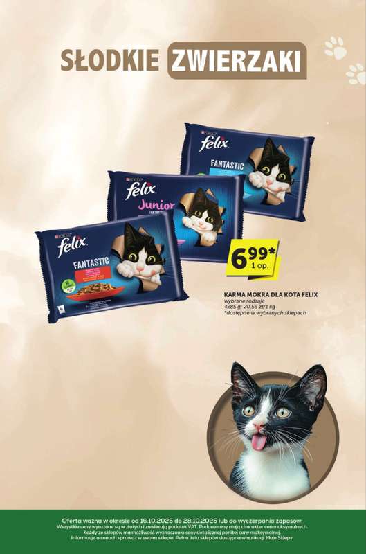 Euro Sklep - gazetka promocyjna Katalog od czwartku 16.10 do wtorku 28.10 - strona 31
