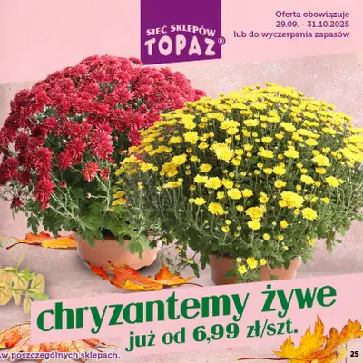 TOPAZ - gazetka promocyjna Katalog Znicze i wkłady od wtorku 14.10 do piątku 31.10 - strona 25 TOPAZ - gazetka promocyjna Katalog Znicze i wkłady od wtorku 14.10 do piątku 31.10 - strona 25