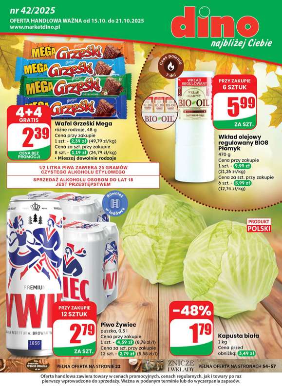 Dino - gazetka promocyjna Gazetka od środy 15.10 do wtorku 21.10