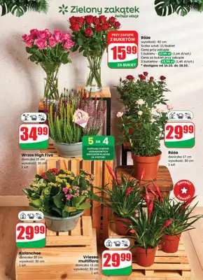 Dino - gazetka promocyjna Gazetka od środy 15.10 do wtorku 21.10 - strona 52