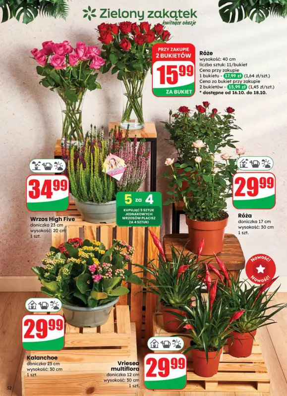 Dino - gazetka promocyjna Gazetka od środy 15.10 do wtorku 21.10 - strona 52