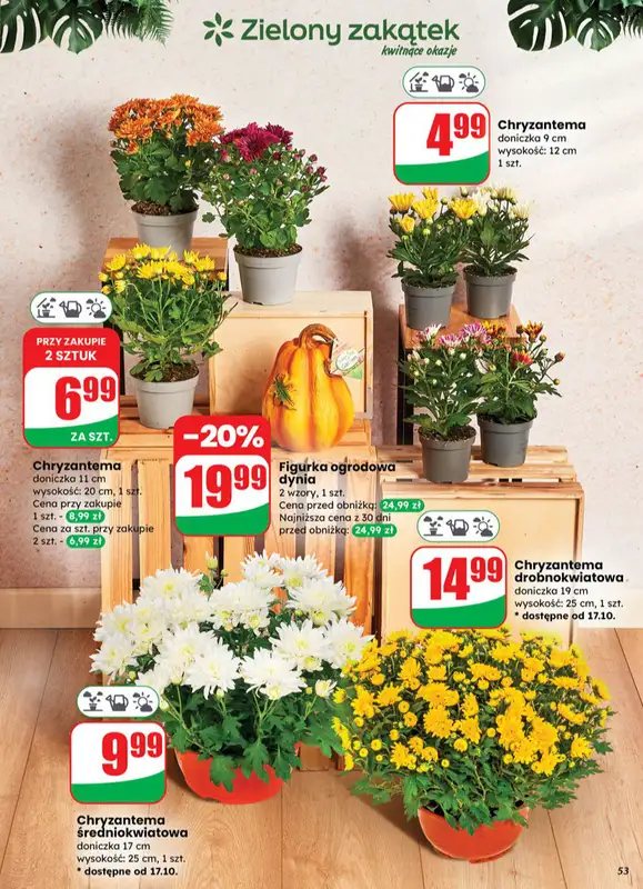 Dino - gazetka promocyjna Gazetka od środy 15.10 do wtorku 21.10 - strona 53