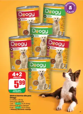 Dino - gazetka promocyjna Gazetka od środy 15.10 do wtorku 21.10 - strona 61