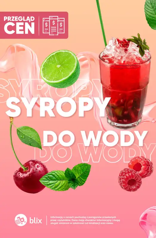 Biedronka - gazetka promocyjna Syropy do wody - przegląd cen  