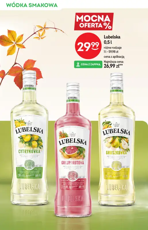 Żabka - gazetka promocyjna Katalog alkoholowy  do wtorku 28.10 - strona 6